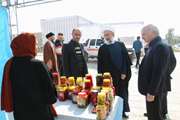 بازدید مسئولین دانشگاه سمنان از جشنواره میوه و غذای سمنان